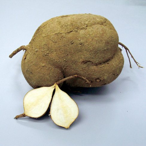 B-UP(ビーアップ),育乳,サプリメント,プエラリア・ミリフィカ,バストアップサプリメント